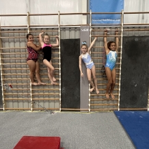 PE in the Gym